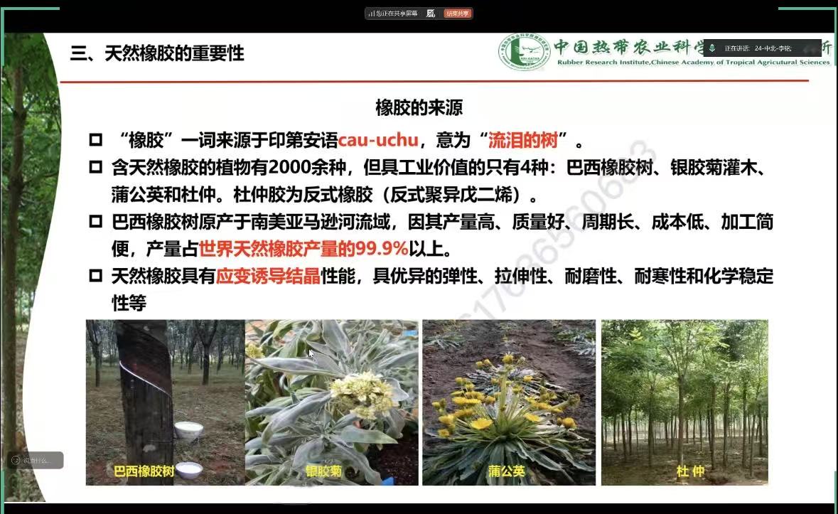 PG试玩